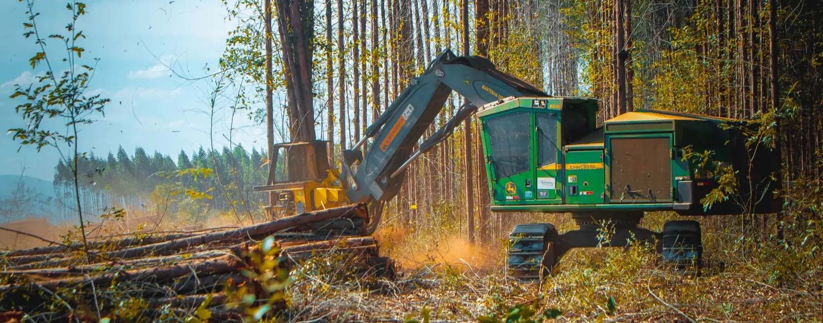 Com mecanização florestal, Reflorestar projeta alta de 10% no faturamento em 2026