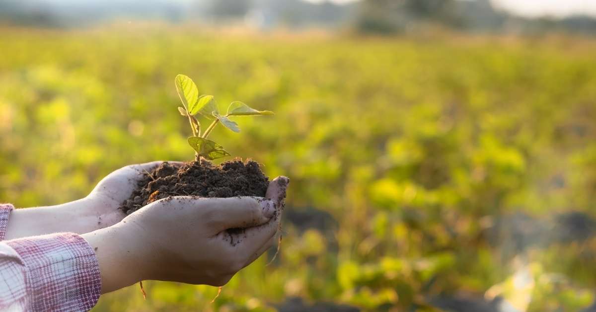 Bioeconomia mundial como porta de saída para a agroindústria
