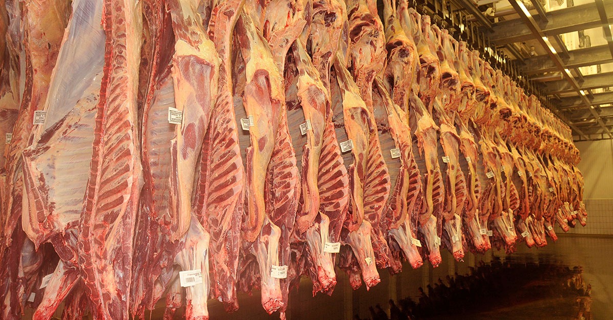 Cadeia de carnes impulsiona desempenho do agronegócio mineiro em 2025