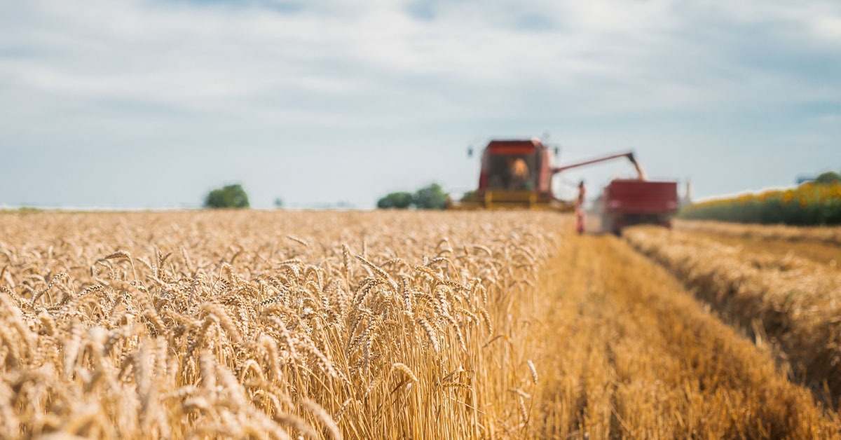 PIB da cadeia da soja e biodiesel cresce 11,7% em 2025