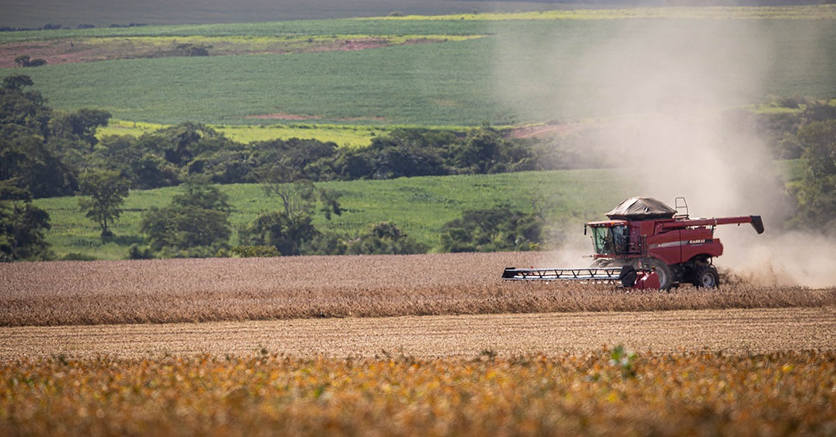 Risco de El Niño forte coloca agronegócio e indústria de Minas em alerta