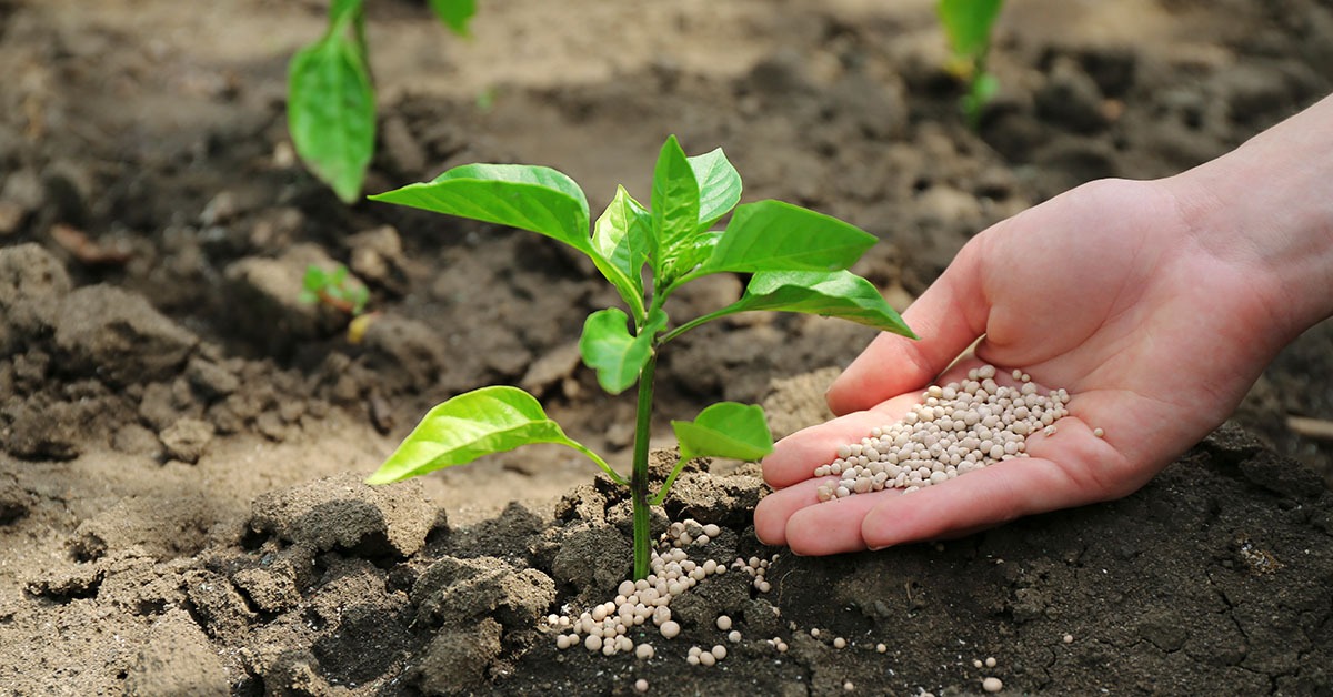 Crise global e entraves ameaçam polo de fertilizantes de Minas Gerais