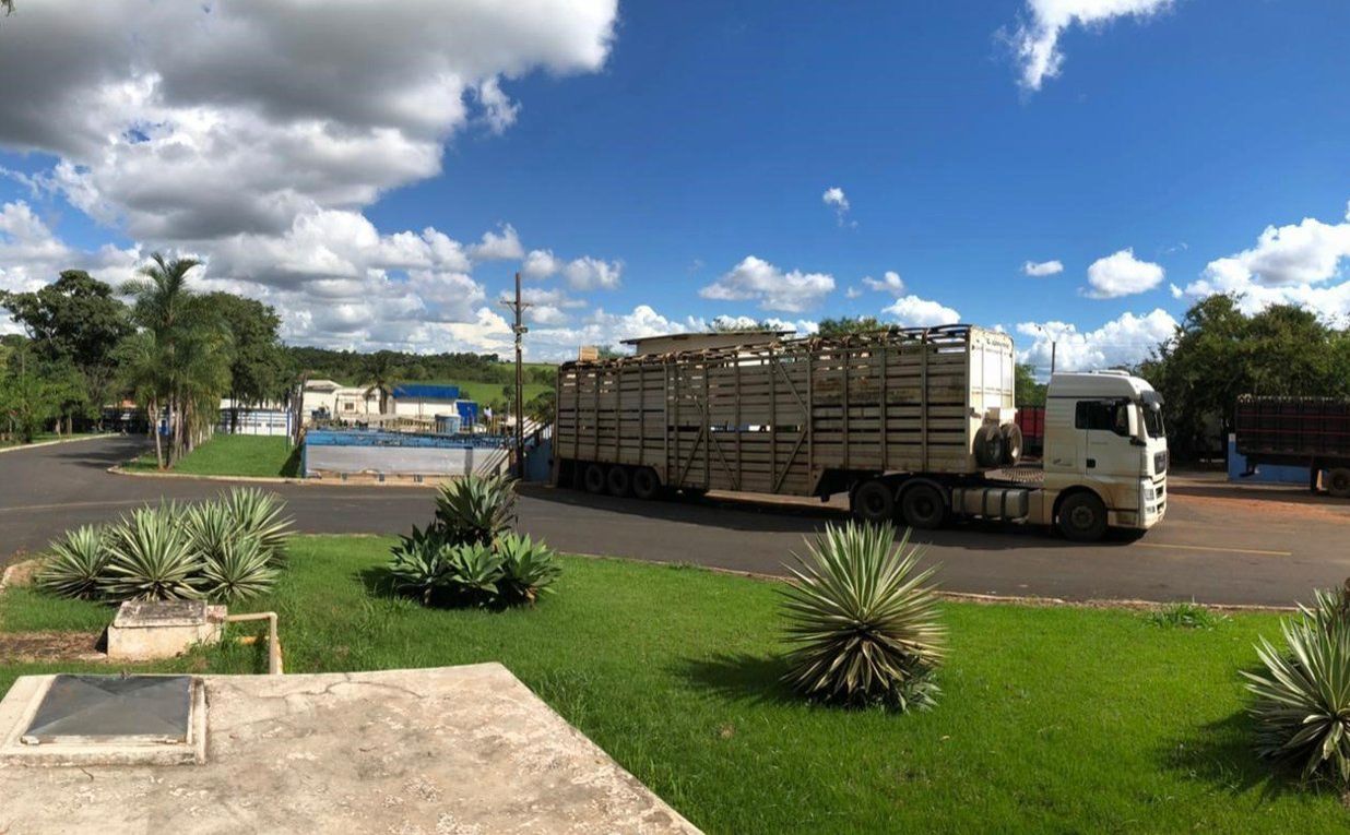 Frigorífico Santa Lúcia pede recuperação judicial após temporal destruir planta em Araguari