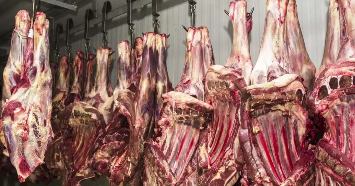 China suspende três frigoríficos brasileiros após irregularidades; um deles, é de Minas