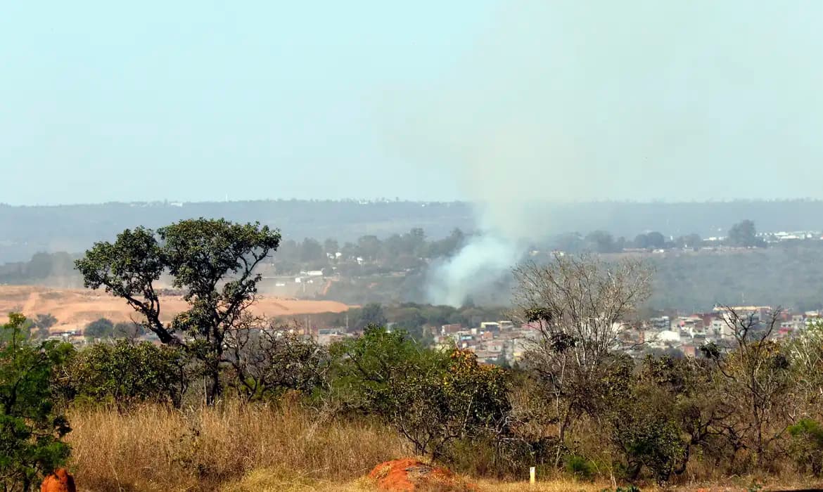 MMA lança edital para arborizar periferia urbana de pequenas cidades
