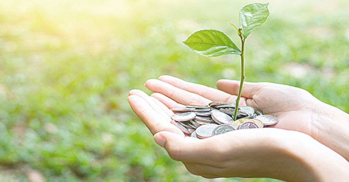 Governança e sustentabilidade ampliam acesso ao crédito verde