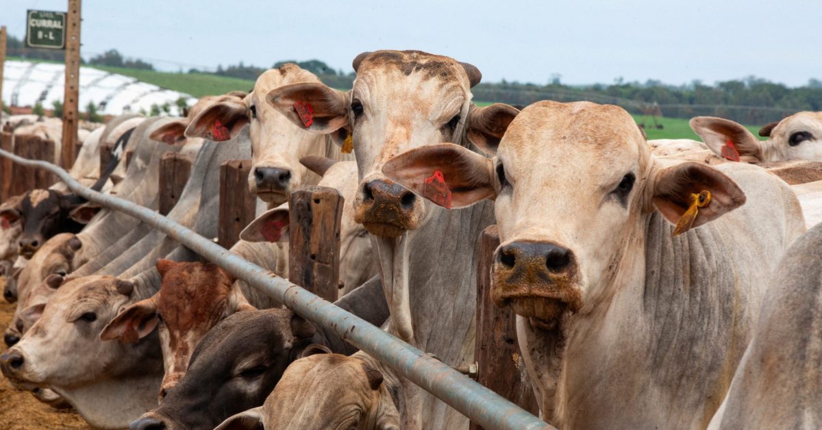 IGP-M tem queda de 0,22% em agosto com alta em produtos agropecuários, diz FGV