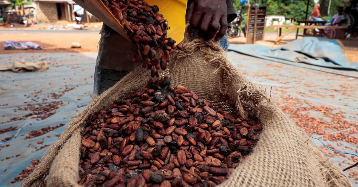 Por que um El Niño intenso deixa safras tropicais vulneráveis