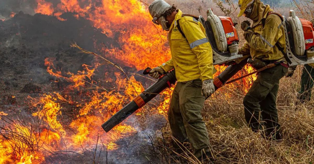 Governo repassa R$ 337 milhões para combate a incêndios e desmatamento