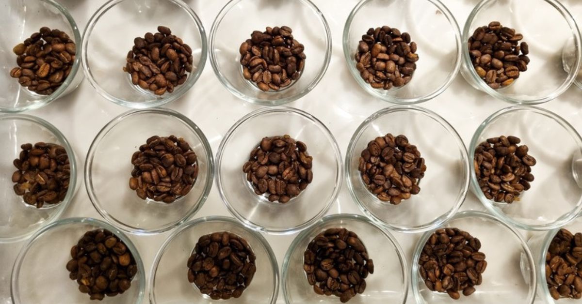 Amostras de café
