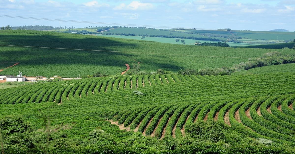 Economia mineira deve manter crescimento, mas em ritmo mais lento até 2027