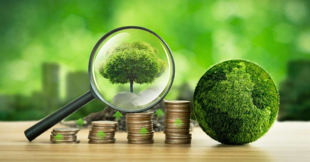 Mês do Meio Ambiente: BDMG e os avanços do crédito verde