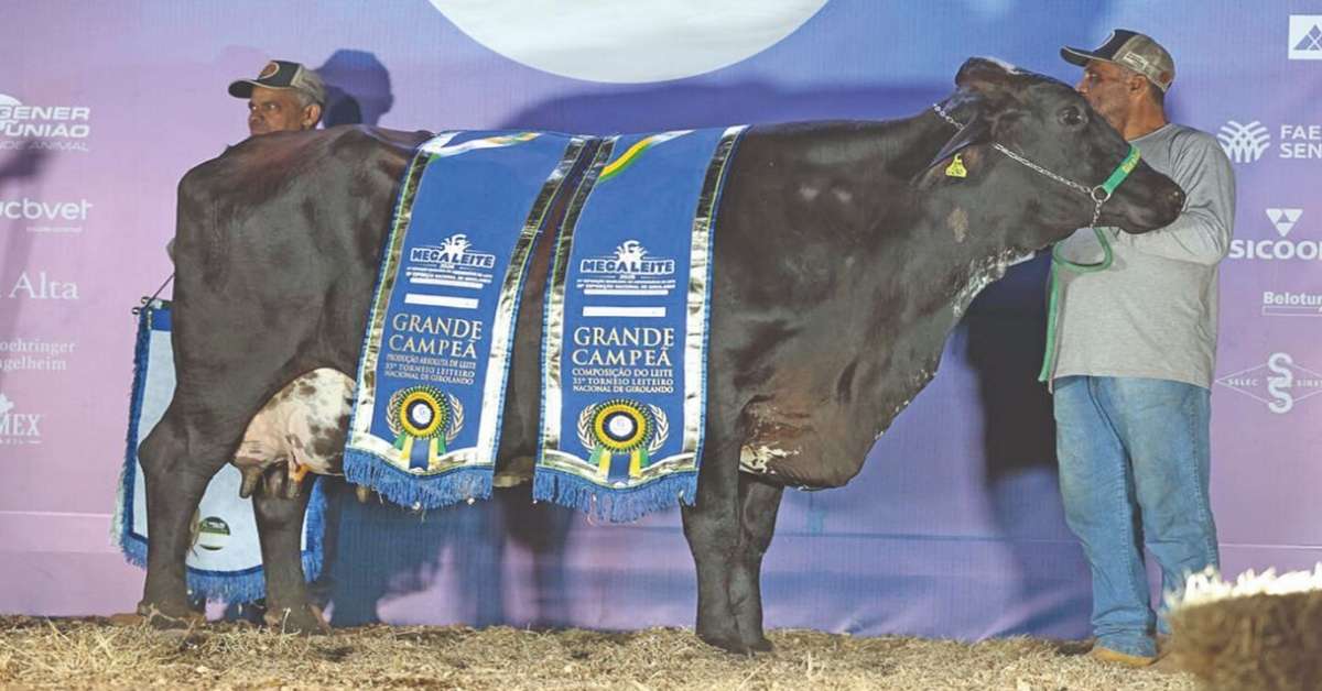 Megaleite: Jornada, Gemada e Singela batem recordes da Girolando