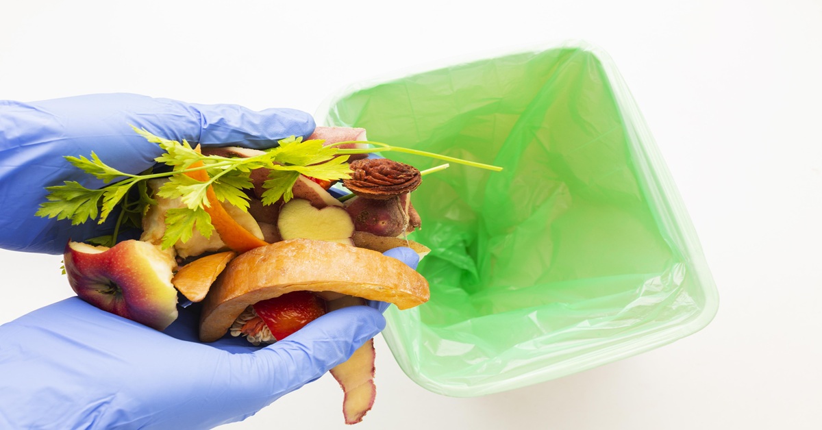 Alimentos sendo descartados