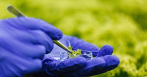 III Fórum Bioinsumos no Agro