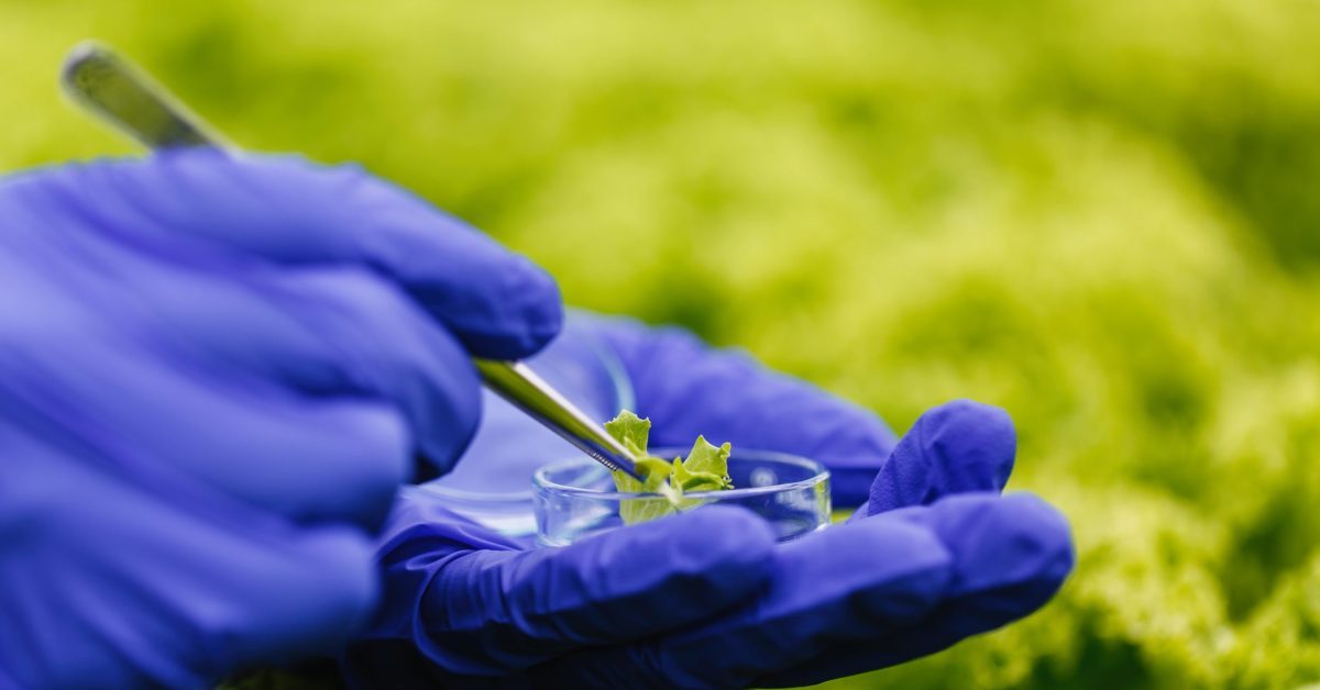 III Fórum Bioinsumos no Agro