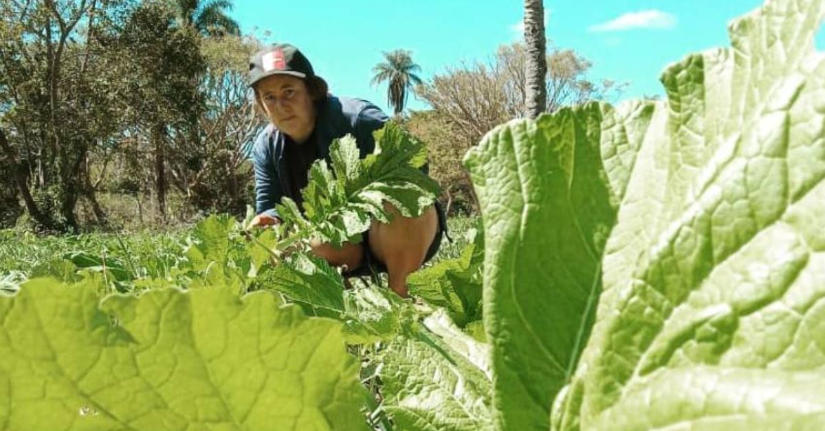 AgroAmigo expande crédito rural e reduz inadimplência em Minas Gerais