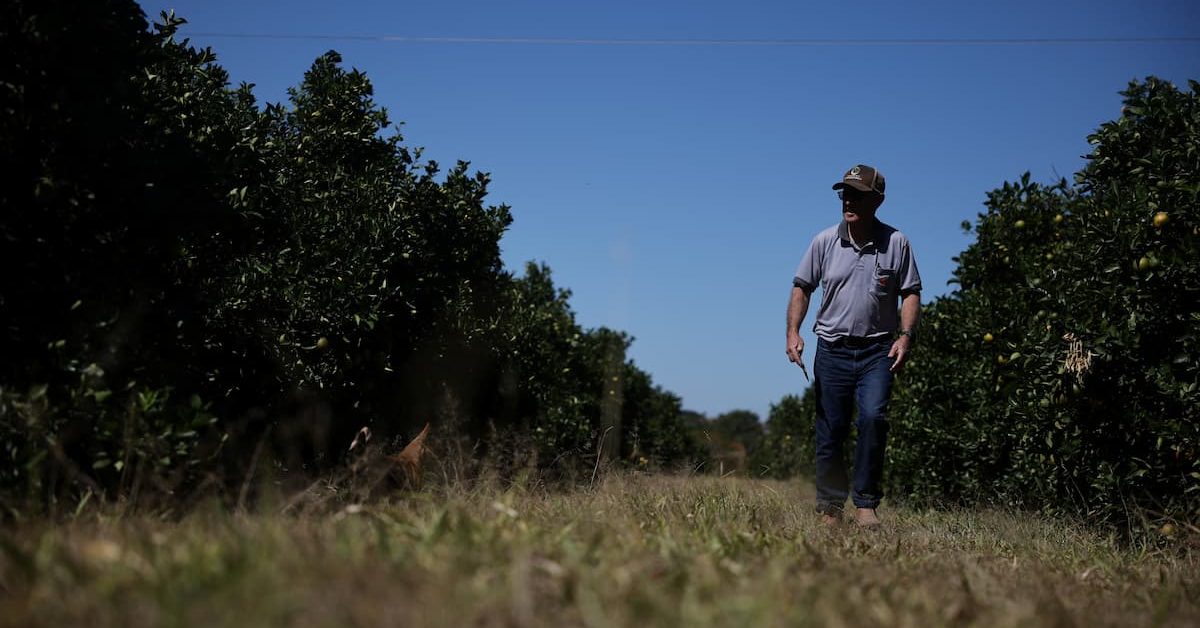 Inadimplência da população rural do Brasil cresceu para 8,8% no 1º tri, indica Serasa