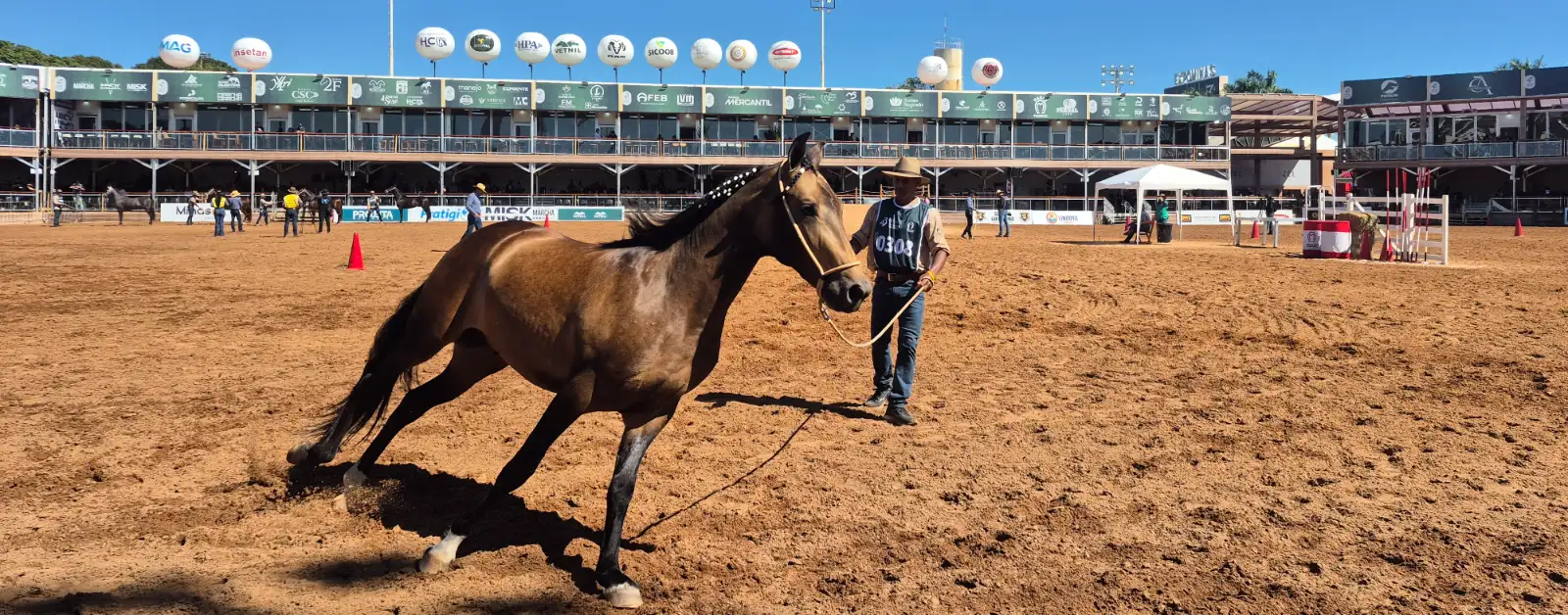 Cavalo sendo guiado por um treinador em pista de terra