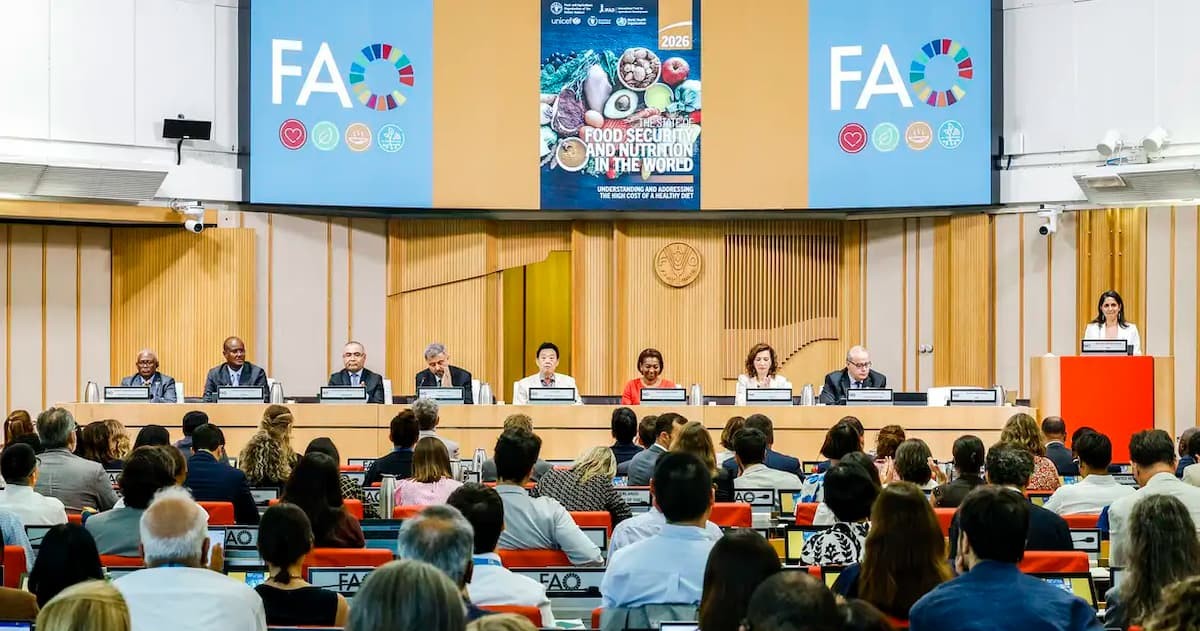 Brasil continua fora do Mapa da Fome, aponta relatório da ONU