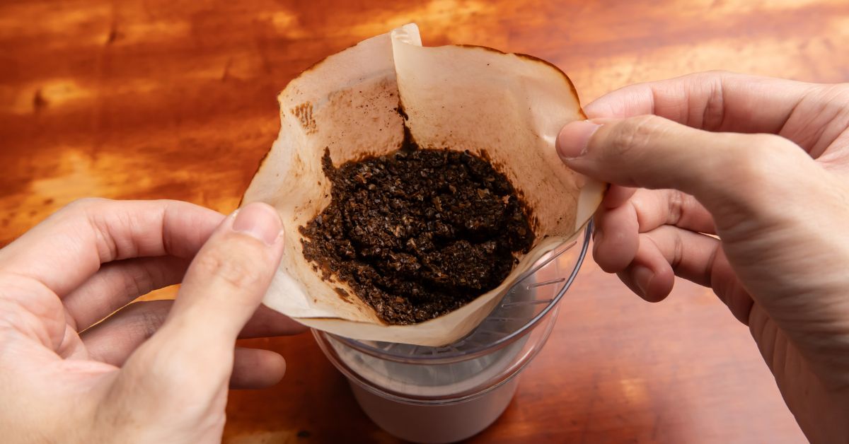 Café acumula maior queda de preços no Plano Real após subir mais de 80%, diz IBGE