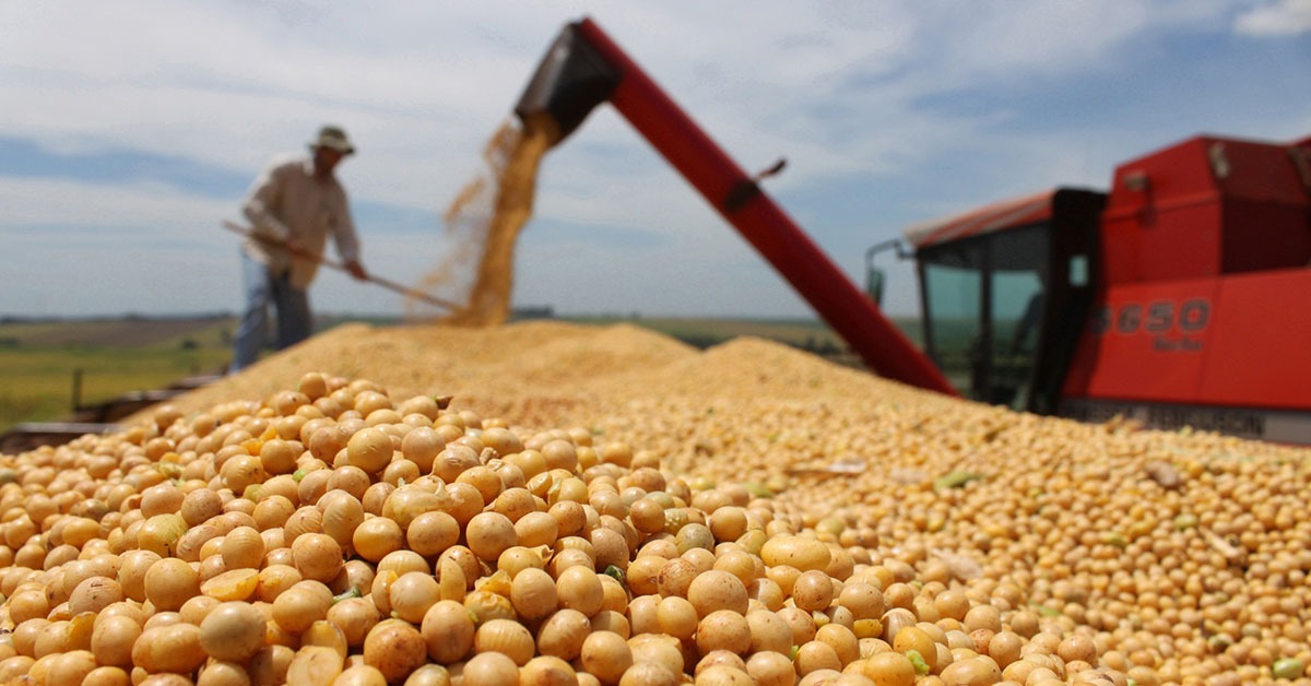 Exportações do agro de Minas recuam 9,6% com queda do café, mas soja compensa perdas