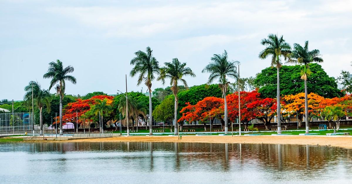 Lagoa da Prata alia indústria, bioenergia e ambiente favorável aos negócios para atrair investimentos