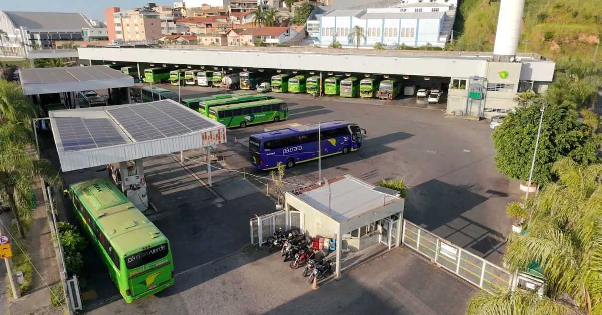 Pássaro Verde reforça frota e prevê alta de 5% no fluxo de passageiros nas férias de julho