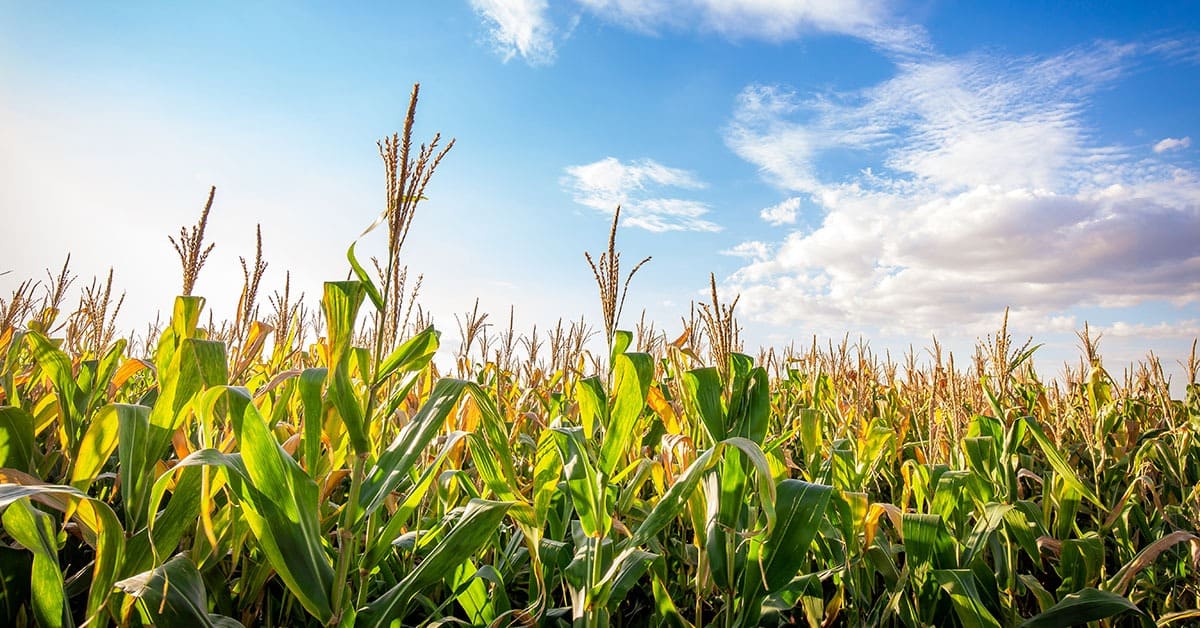 Unaí recebe a 17ª Arena da Plantabilidade com foco em inovação no campo