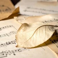 Versos musicais