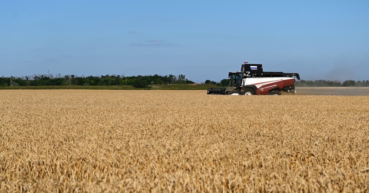 Décadas de ganhos na produção agrícola e estoques fortalecem sistema alimentar diante do “super” El Niño