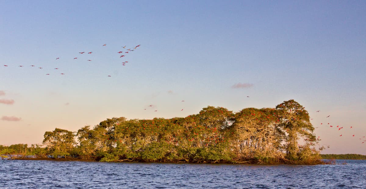 De Minas ao Delta do Parnaíba: Azul abre nova rota a partir de Confins em novembro