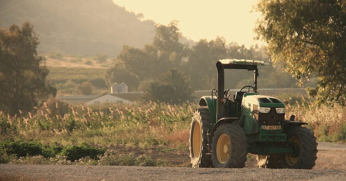 Pequeno produtor: saiba como ter acesso ao microcrédito rural