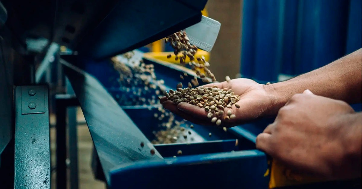 Poços de Caldas terá maior armazém de cafés especiais do mundo com investimento de R$ 250 milhões
