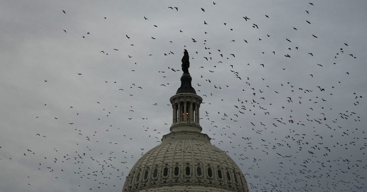 Democratas planejam investigações contra Trump caso conquistem a Câmara, segundo fontes