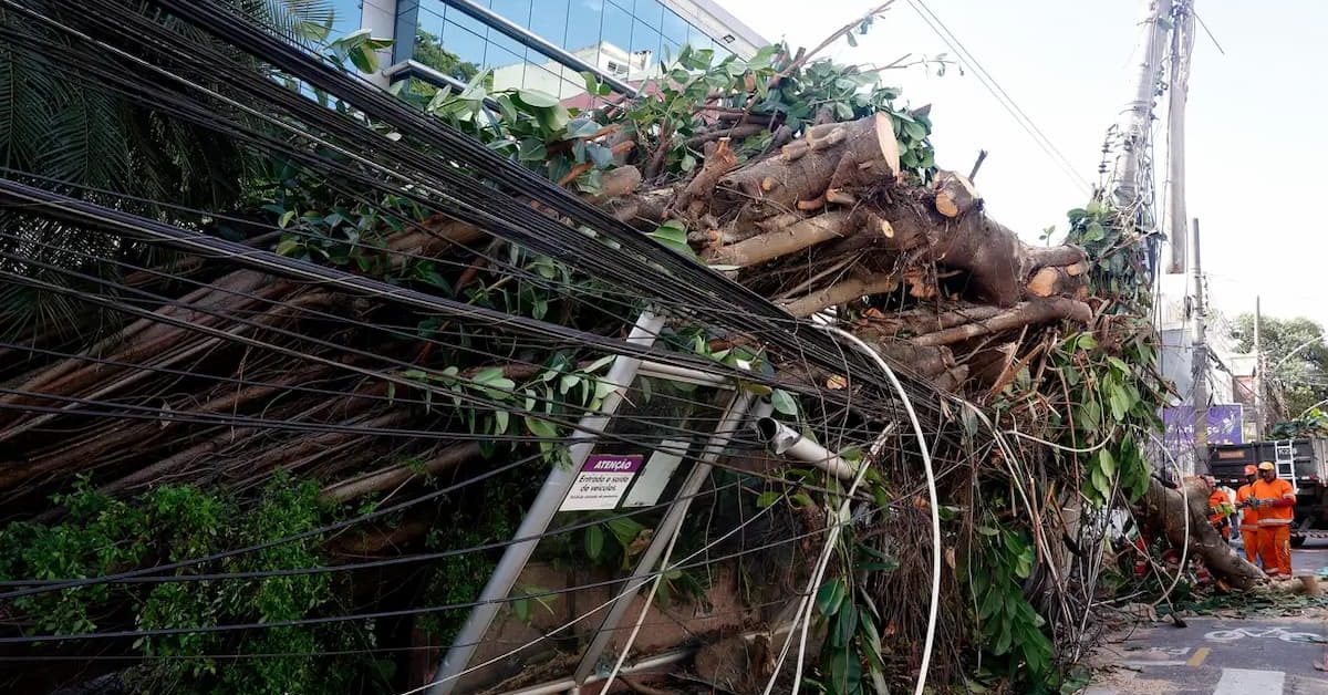 Eventos climáticos extremos desafiam concessionárias de energia