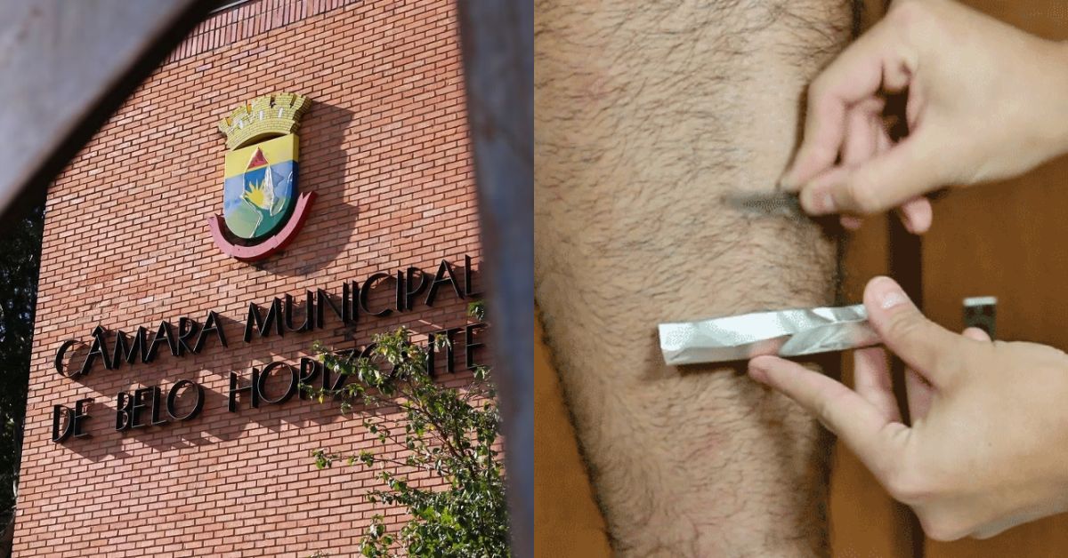 Montagem mostrando o prédio da Câmara Municipal de Belo Horizonte e profissional coletando pelos para exame toxicológico
