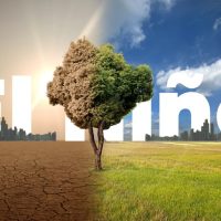 O impacto do El Niño vai além do agronegócio