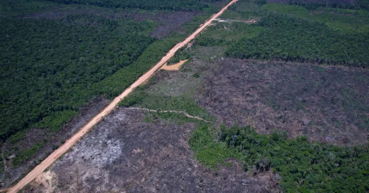 Lula: anunciamos o menor desmatamento da década na Amazônia