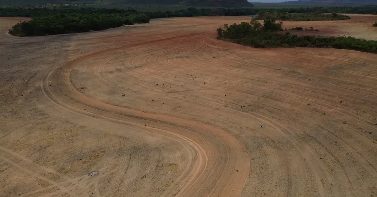 Ambientalistas criticam decisão do STF sobre Moratória da Soja
