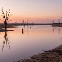 Impactos do Super El Niño no agronegócio brasileiro