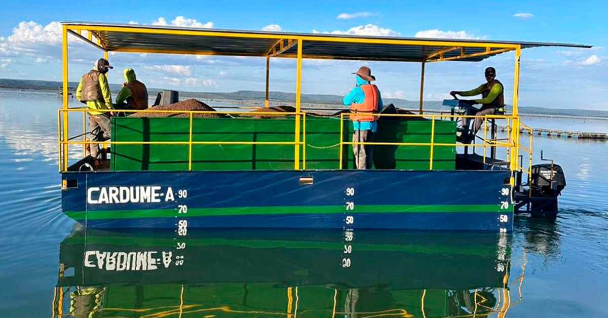 Semana do Pescado mobiliza cadeia para ampliar consumo em Minas Gerais
