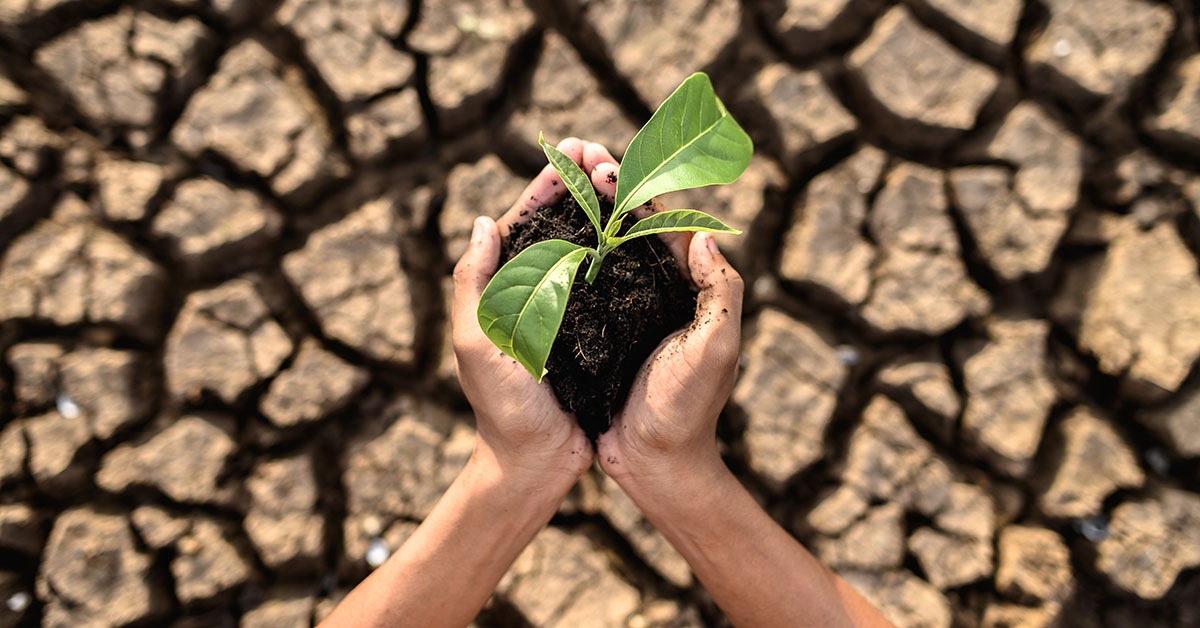 Extremos climáticos: cenário deixou de ser ameaça e já realidade em Minas Gerais