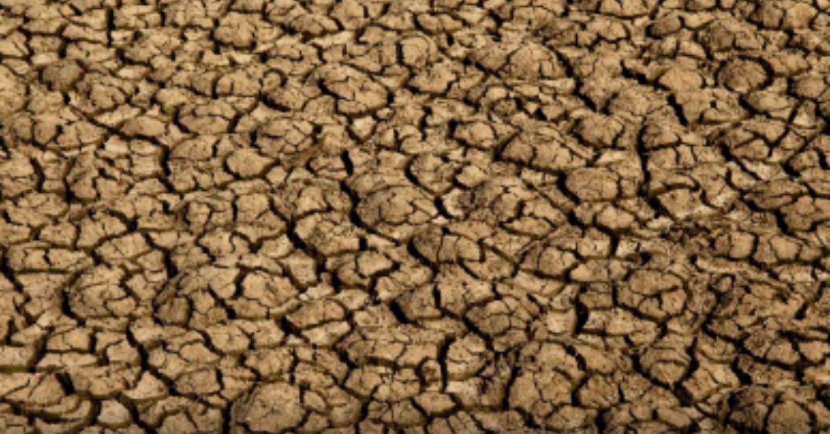Desertificação no Brasil ameaça segurança hídrica e alimentar