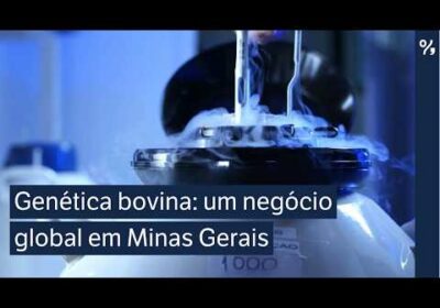 Vídeo