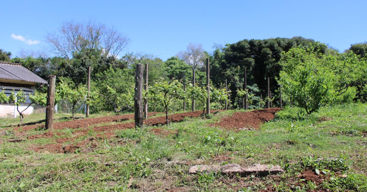 Imagem mostra área de uma propriedade rural
