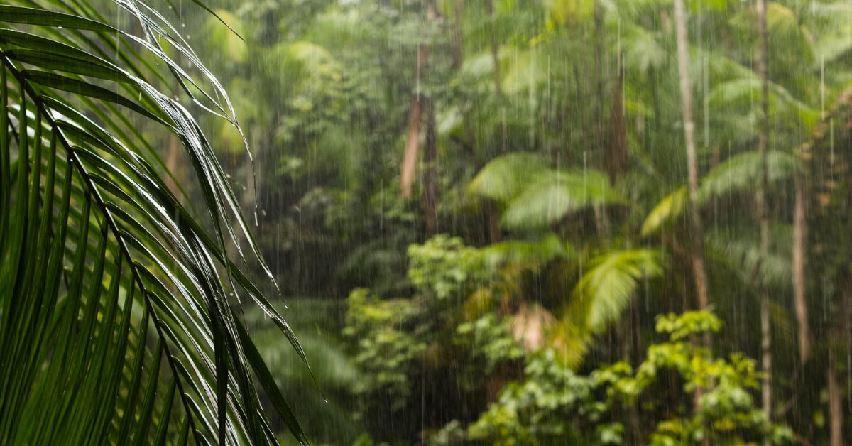 Início do período úmido anima setor elétrico, mas meteorologistas apontam cautela
