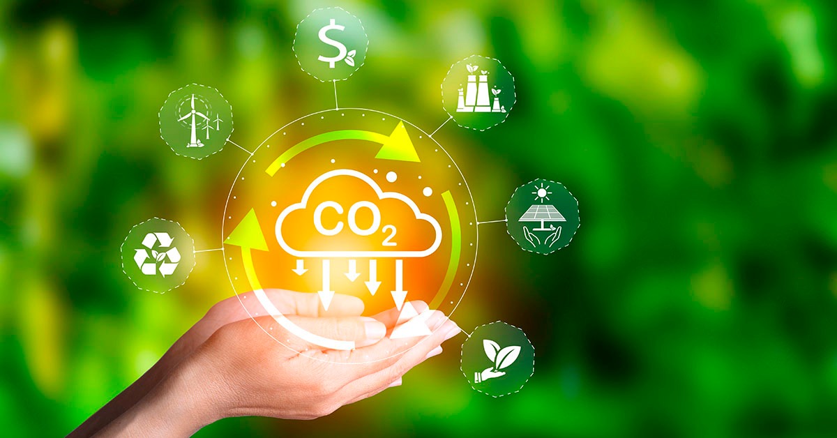 WayCarbon completa 20 anos com mais de 400 projetos em Minas Gerais
