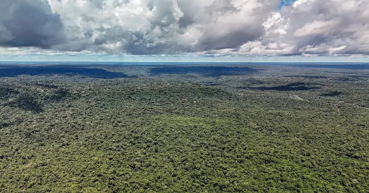 Fazenda autoriza crédito de US$ 1 bilhão do BID para Eco Invest Brasil