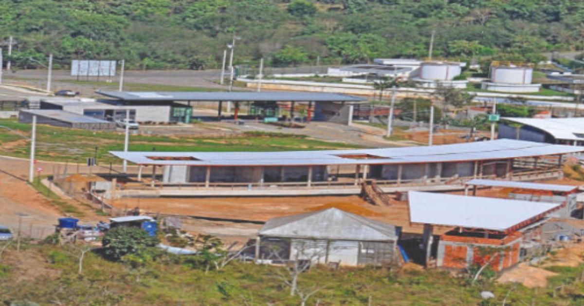 Sustentabilidade ganha espaço na estratégia de empresas e estimula a inovação em Minas